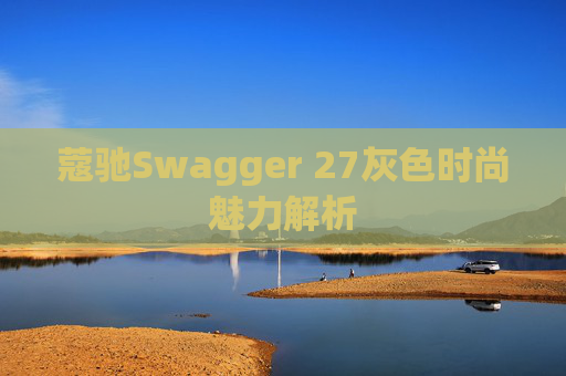 蔻驰Swagger 27灰色时尚魅力解析